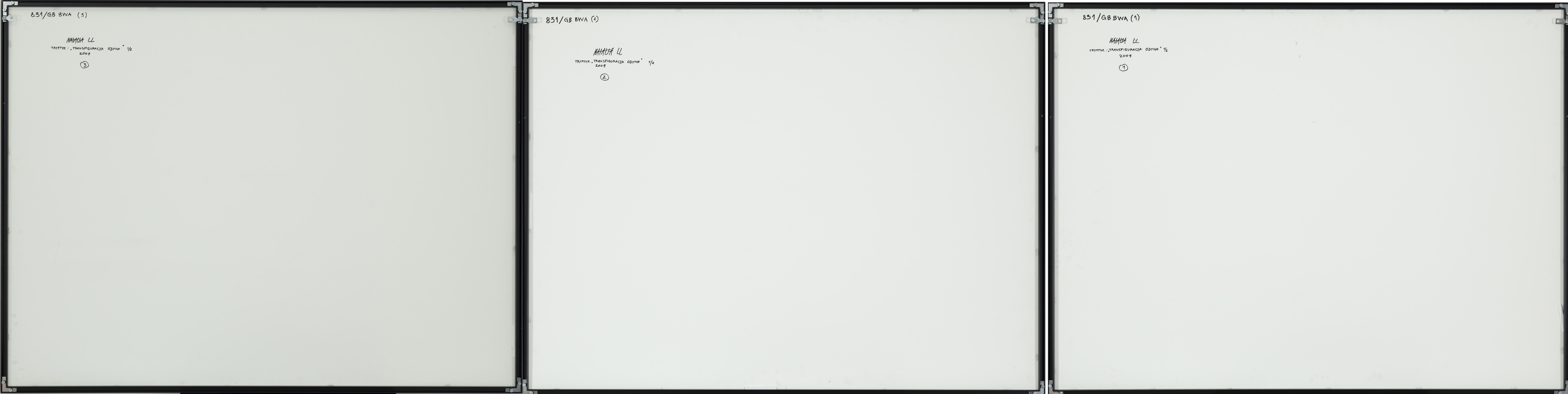 Transfiguracja Odyna II 